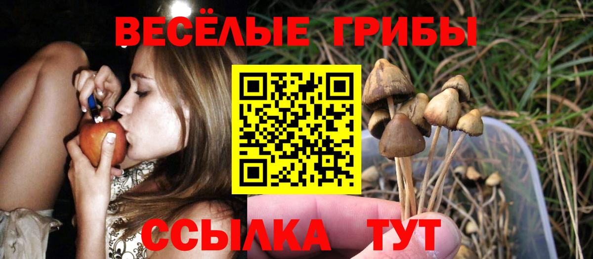 цена наркотик  Галлюциногенные грибы ЛСД  Новый Уренгой  Вход с VPN  Псилоцибиновые грибы MAGIC MUSHROOMS 